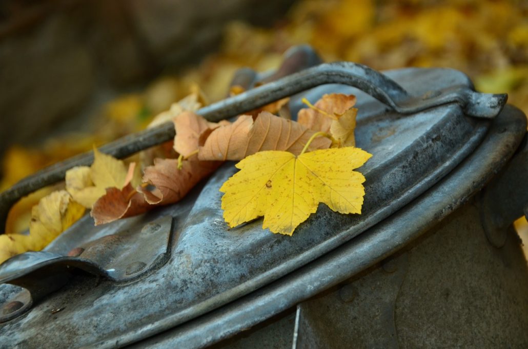 autumn-1013608_1280